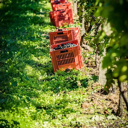 Farm stay Olistico Atman *