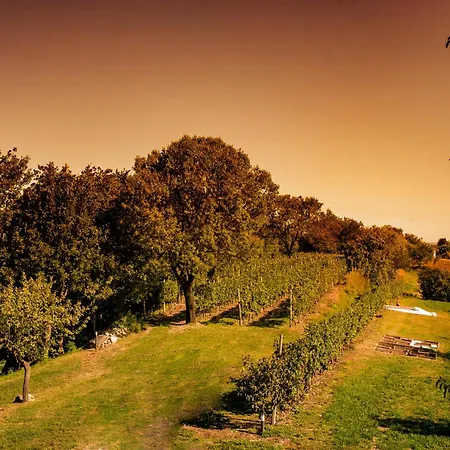Farm stay Olistico Atman Monzambano
