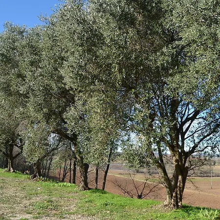 Olistico Atman Farm stay