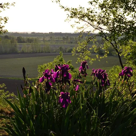 Farm stay Olistico Atman